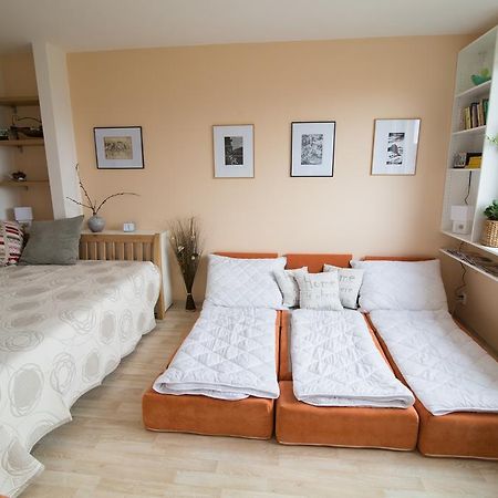 Apartman Labe Ústí nad Labem Eksteriør bilde